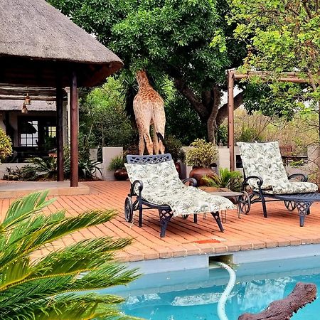 Graceland Eco Retreat マゴバスクルーフ エクステリア 写真
