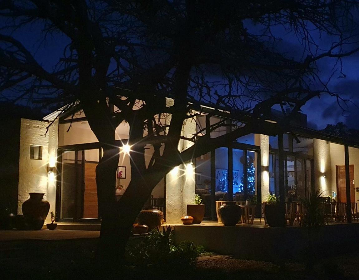 Graceland Eco Retreat マゴバスクルーフ エクステリア 写真