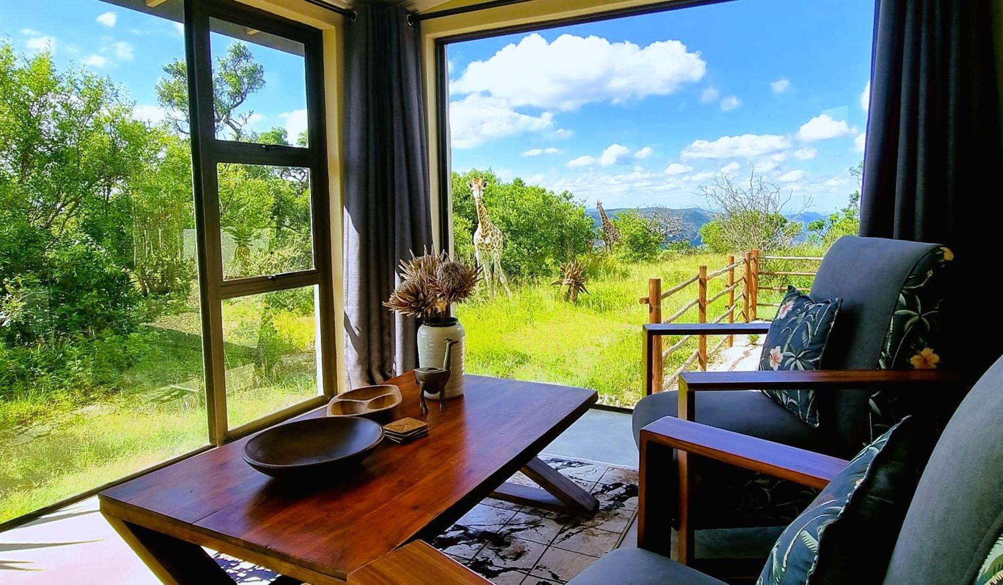 Graceland Eco Retreat マゴバスクルーフ エクステリア 写真