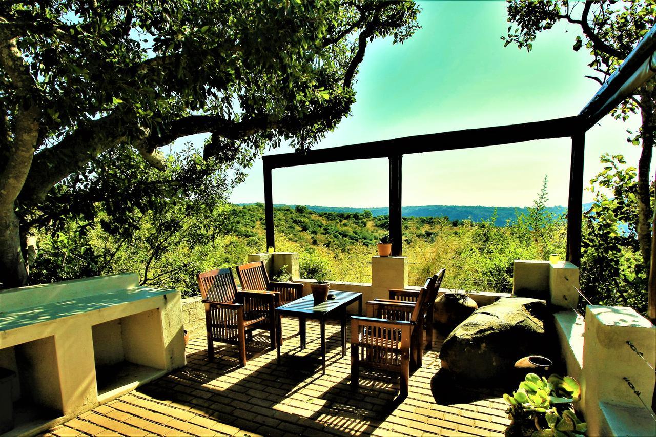 Graceland Eco Retreat マゴバスクルーフ エクステリア 写真
