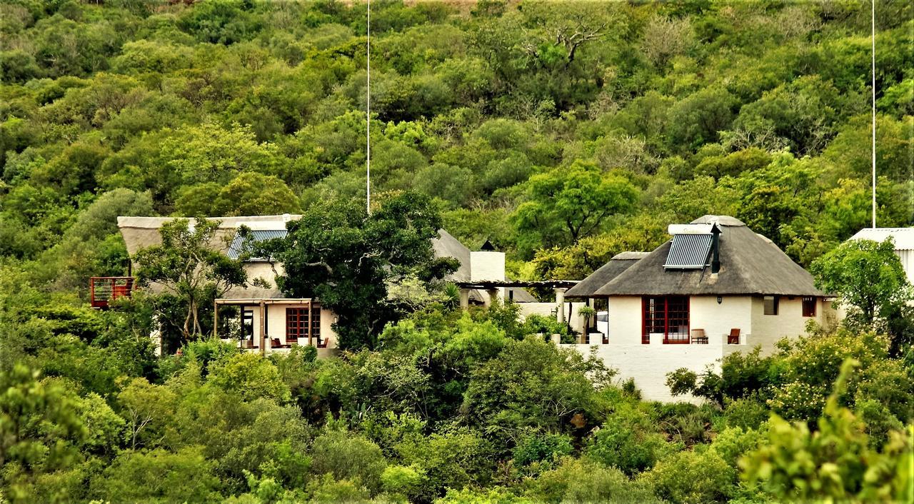 Graceland Eco Retreat マゴバスクルーフ エクステリア 写真